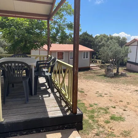 Trinite אתר קמפינג