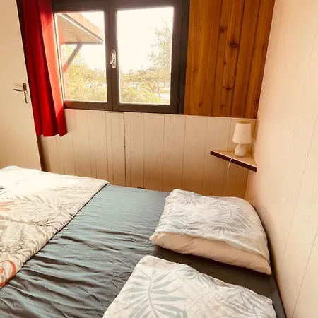 Trinite בוניפסיו