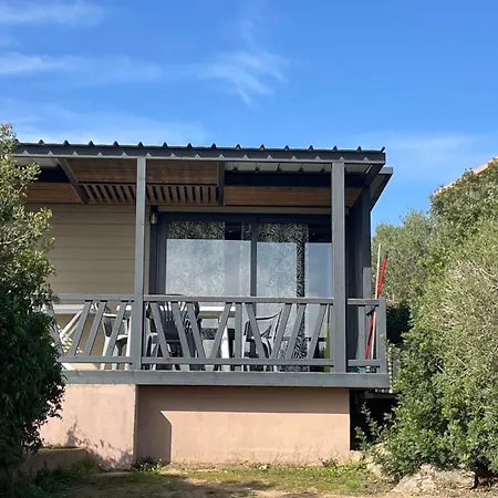 Trinite בוניפסיו