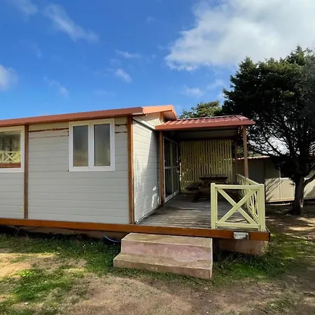 Trinite אתר קמפינג