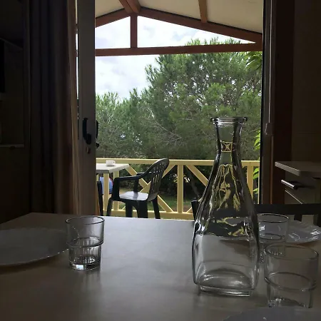 Trinite אתר קמפינג