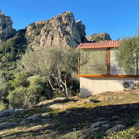 Trinite Бонифачо