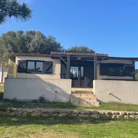 Trinite Кемпинг