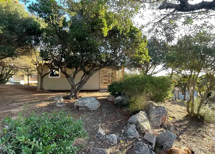 Trinite Kamp alanı Bonifacio (Corsica)